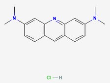 Acridine Orange solution 2% in H2O