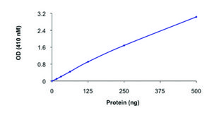 PTPRC (592-end), active, GST tagged from mouse recombinant, expressed in E. coli, &#8805;70% (SDS-PAGE), buffered aqueous glycerol solution