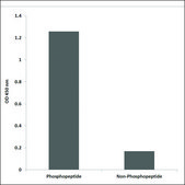 Anti-phospho-AS160 (pThr642) antibody produced in rabbit affinity isolated antibody