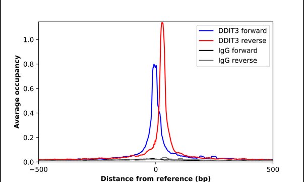 Anti-DDIT3 antibody produced in rabbit Prestige Antibodies&#174; Powered by Atlas Antibodies, affinity isolated antibody, buffered aqueous glycerol solution