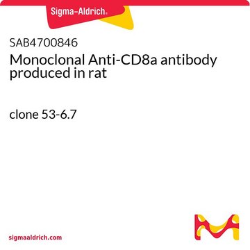Monoclonal Anti-CD8a antibody produced in rat clone 53-6.7