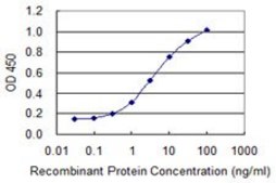 Monoclonal Anti-TNFRSF17 antibody produced in mouse clone 3H6, purified immunoglobulin, buffered aqueous solution