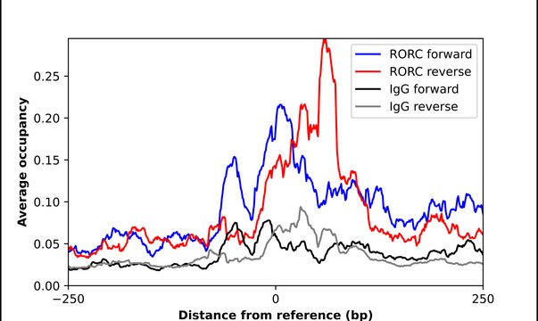Anti-RORC antibody produced in rabbit Prestige Antibodies&#174; Powered by Atlas Antibodies, affinity isolated antibody