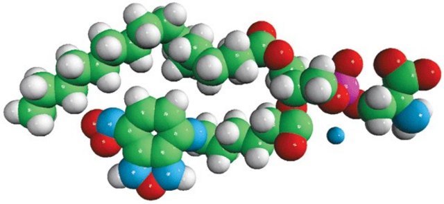 16:0-06:0 NBD PS Avanti Research&#8482; - A Croda Brand 810192P, powder