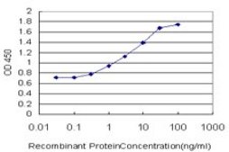 Monoclonal Anti-ARHGEF11 antibody produced in mouse clone 2F4, purified immunoglobulin, buffered aqueous solution