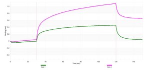 Anti-SUMO-1 Antibody, clone 2B6 ZooMAb® Rabbit Monoclonal recombinant, expressed in HEK 293 cells