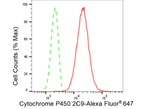 Anti Cytochrome P450 2C9 Antibody, clone 23GB5885, Rabbit Monoclonal clone 23GB5885, recombinant rabbit monoclonal, expressed in HEK293 cells