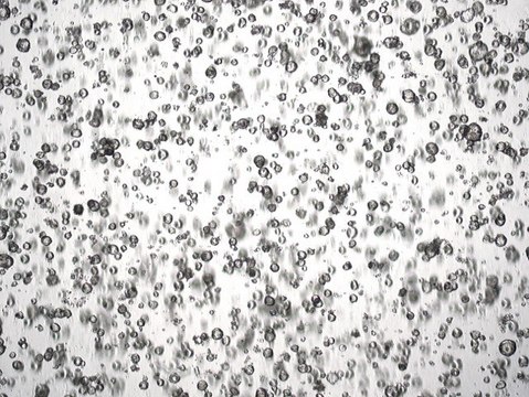 3dGRO&#174; Pancreatic Organoids (PPTO.30)