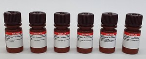 ReadyShield&#174; Protease Inhibitor Cocktail for use in purification of Histidine-tagged proteins, Non-freezing solution
