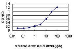 ANTI-PUM2 antibody produced in mouse clone 7C7, purified immunoglobulin, buffered aqueous solution