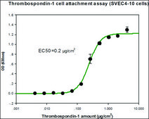 Thrombospondin-1 human recombinant, expressed in HEK 293 cells, lyophilized powder, suitable for cell culture