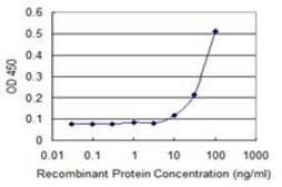 Monoclonal Anti-RECQL, (C-terminal) antibody produced in mouse clone 4D5, purified immunoglobulin, buffered aqueous solution
