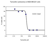 3dGRO&#174; Human CRC Organoids (ISO48)