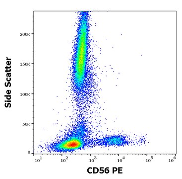 Monoclonal Anti-CD56 PE produced in mouse