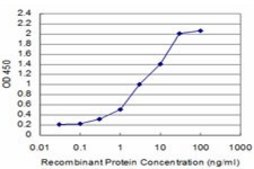 Monoclonal Anti-SMAD5 antibody produced in mouse clone 5E12, purified immunoglobulin, buffered aqueous solution