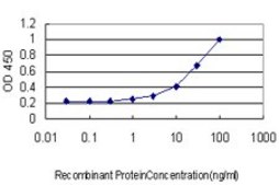 Monoclonal Anti-CRLF2 antibody produced in mouse clone 4A11, purified immunoglobulin, buffered aqueous solution