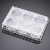 Corning® Falcon® Cell Culture Insert Companion Plate wells, 6, Tissue Culture (TC)-treated surface, sterile