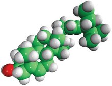 stigmasterol Avanti Research&#8482; - A Croda Brand