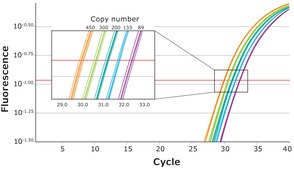 KAPA PROBE FAST suitable for qPCR, 2&#160;×, Universal