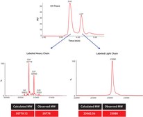 SILu&#8482;MAB Stable-Isotope Labeled Universal Monoclonal Antibody Standard human recombinant, expressed in CHO cells