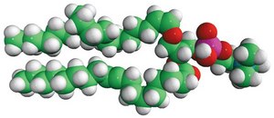 C18(Plasm)-18:1 PC Avanti Research&#8482; - A Croda Brand