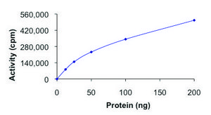 RET (V804L), active, GST tagged human PRECISIO&#174;, recombinant, expressed in baculovirus infected Sf9 cells, &#8805;70% (SDS-PAGE), buffered aqueous glycerol solution