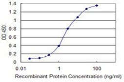 Monoclonal Anti-RBM10 antibody produced in mouse clone 2F12, purified immunoglobulin, buffered aqueous solution