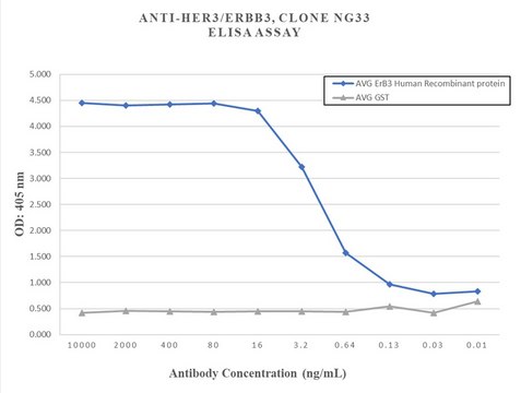 Anti-ErbB-3/HER3 Antibody, clone NG33