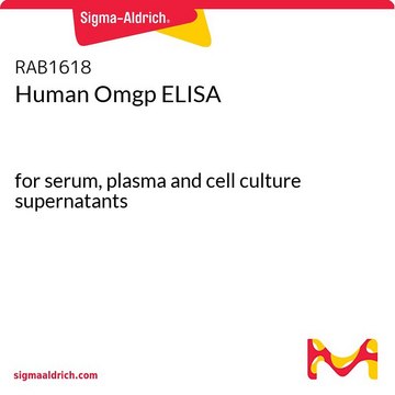 Human Omgp ELISA for serum, plasma and cell culture supernatants