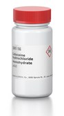 Lidocaine hydrochloride monohydrate solid