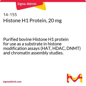Histone H1 Protein, 20 mg Purified bovine Histone H1 protein for use as a substrate in histone modification assays (HAT, HDAC, DNMT) and chromatin assembly studies.