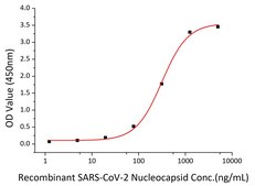 Recombinant 2019-nCoV Nucleocapsid Protein with His tag