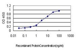 Monoclonal Anti-AHSG antibody produced in mouse clone 5D8, purified immunoglobulin, buffered aqueous solution