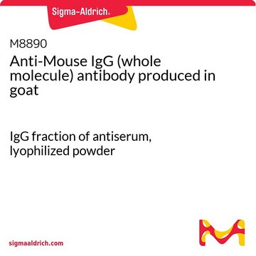 Anti-Mouse IgG (whole molecule) antibody produced in goat IgG fraction of antiserum, lyophilized powder