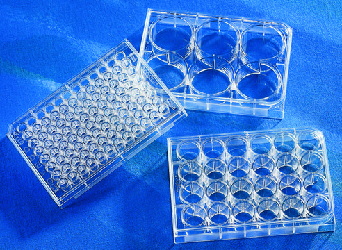Corning&#174; Costar&#174; TC-Treated Multiple Well Plates size 12&#160;wells, clear polystyrene plate, flat bottom, case of 100 (20 Bulk Packs of 5), sterile, lid