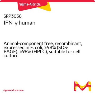 IFN-&#947; human Animal-component free, recombinant, expressed in E. coli, &#8805;98% (SDS-PAGE), suitable for cell culture
