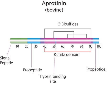 Aprotinin from bovine lung saline solution, 3-7 TIU/mg protein