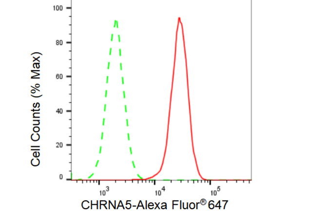 Anti CHRNA5 Antibody, clone 23GB3775, Rabbit Monoclonal clone 23GB3775, recombinant rabbit monoclonal, expressed in HEK293 cells