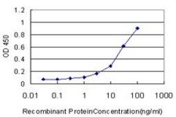 Monoclonal Anti-BBOX1 antibody produced in mouse clone 6H3, purified immunoglobulin, buffered aqueous solution