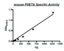 PDE7A active mouse recombinant, expressed in baculovirus infected Sf9 cells, ≥22% (SDS-PAGE)