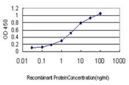 Monoclonal Anti-CMTM4 antibody produced in mouse clone 6G4, purified immunoglobulin, buffered aqueous solution