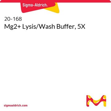 Mg2+ Lysis/Wash Buffer, 5X
