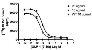 ChemiSCREEN Membrane Preparation Recombinant Human GLP-1 Human GLP-1 GPCR membrane preparation for Radioligand binding Assays &amp; GTP&#947;S binding.