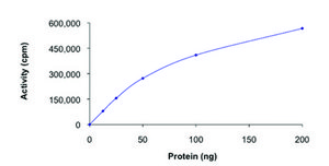 AMPK (&#945;2/&#946;2/&#947;2), active, His tagged human PRECISIO&#174; Kinase, recombinant, expressed in baculovirus infected Sf9 cells, &#8805;70% (SDS-PAGE), buffered aqueous glycerol solution