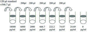 Human MMP-1 ELISA Kit for serum, plasma, cell culture supernatant and urine