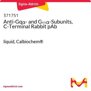 Anti-Gq&#945;-and G11&#945;-Subunits, C-Terminal Rabbit pAb liquid, Calbiochem&#174;