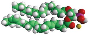 16:0-22:6 PA 1-palmitoyl-2-docosahexaenoyl-sn-glycero-3-phosphate (sodium salt), chloroform