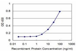 Monoclonal Anti-GCM1 antibody produced in mouse clone 3D2, purified immunoglobulin, buffered aqueous solution