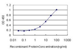 Monoclonal Anti-EMILIN1 antibody produced in mouse clone 4A3, purified immunoglobulin, buffered aqueous solution