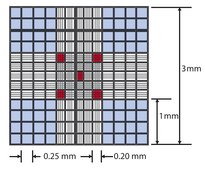 Millicell&#174; Disposable Hemocytometer Neubauer Improved ruling pattern, 2 chambers/slide, 10 &#181;L loading volume, individually wrapped